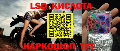 PSILOCYBIN Шебекино